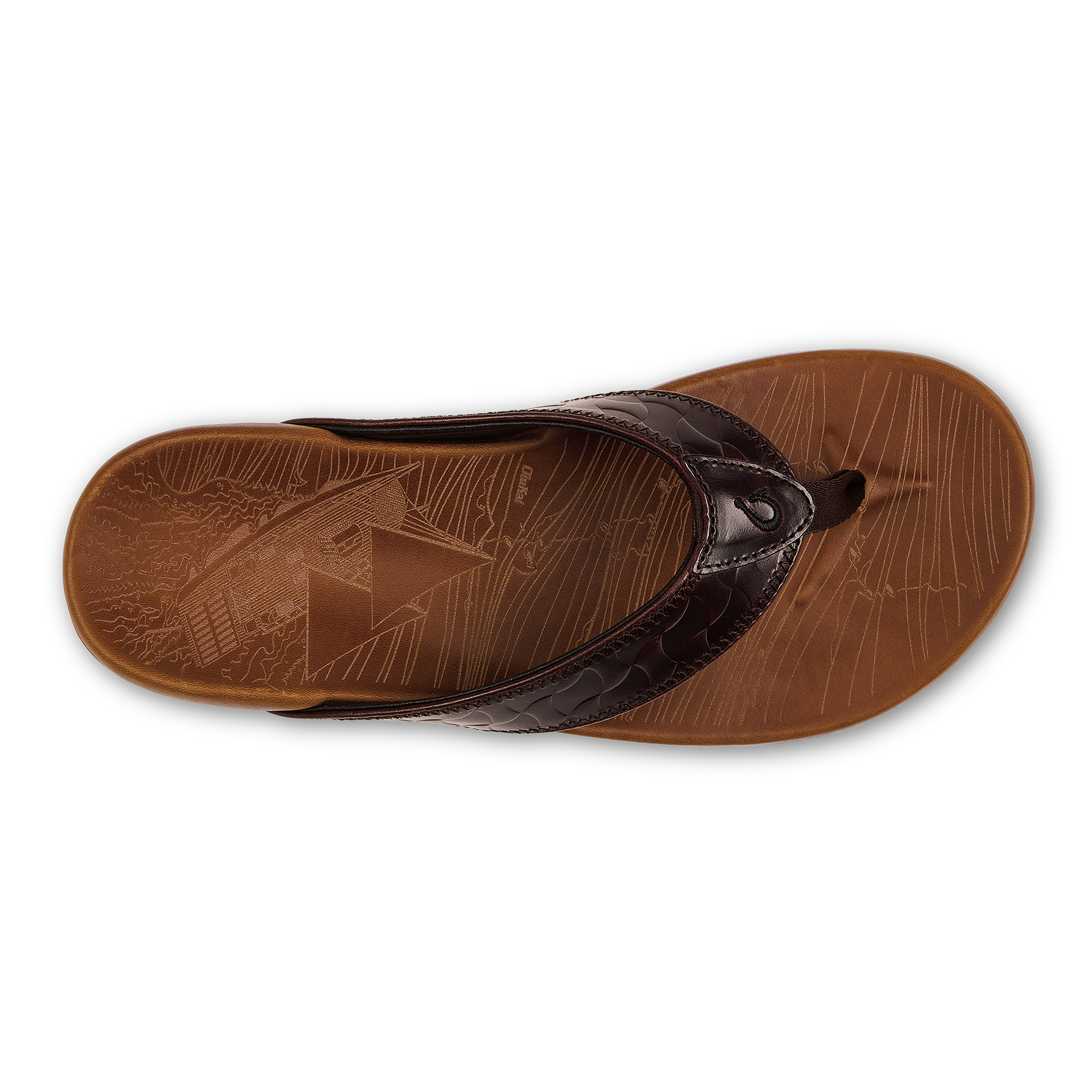 Hikianalia - Dark Java / Tan - Image 5