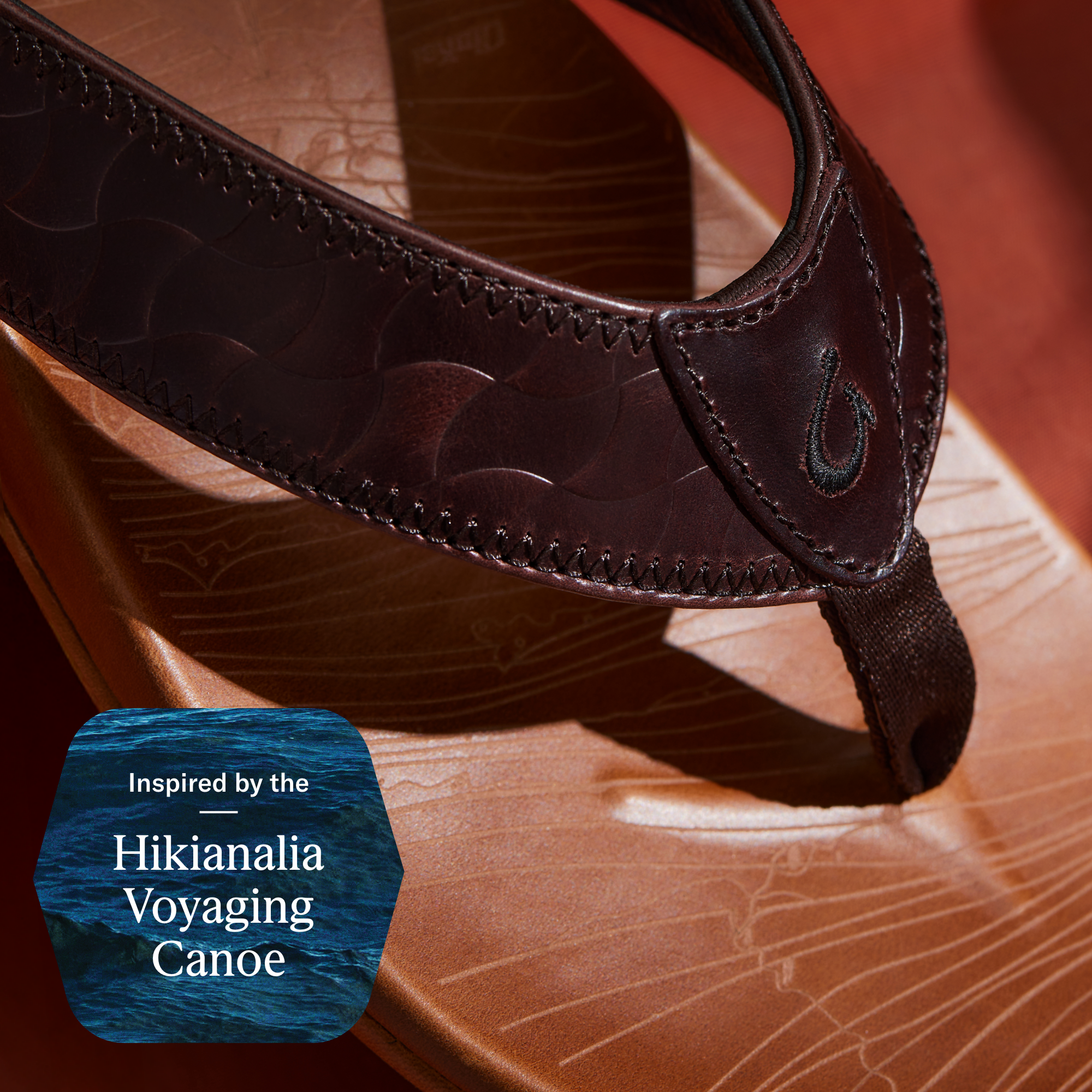 Hikianalia - Dark Java / Tan - Image 2